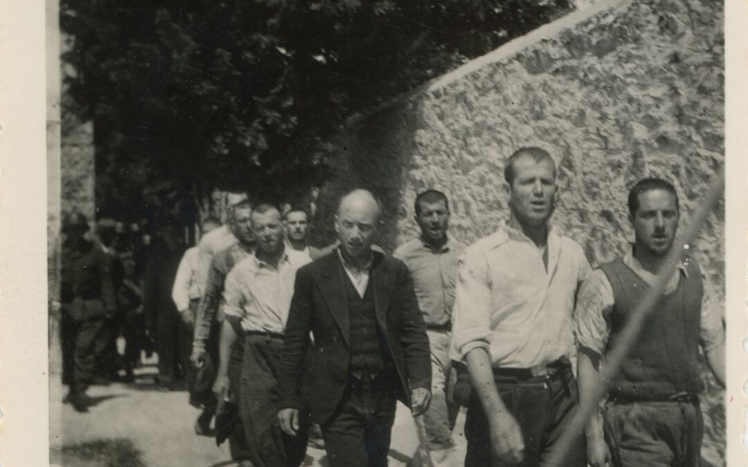 DÉCOUVERTE- photographies des 200 résistants grecs exécutés par les nazies le 1er mai 1944 à  Kesariani